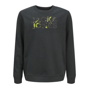 Sweat Vert Foncé Garçon Jack & Jones Splash pas cher