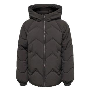Doudoune Marron Femme JDY Powers vue 0