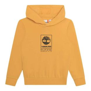 Sweat à Capuche Jaune Garçon Timberland T60077 vue 0