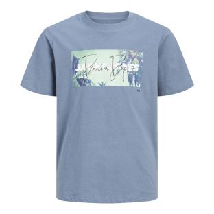 T-Shirt Bleu Garçon Jack & Jones Indiana vue 0