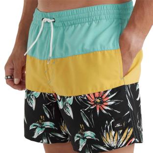 Maillot de bain Turquoise Homme O'Neill Mix & Match Cali vue 0