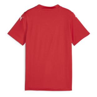 Maillot de football Rouge Garçon Puma Teamglory Jersey Jr vue 0
