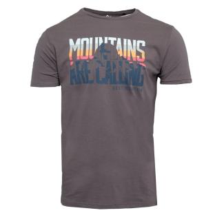 T-shirt Kaki/Bleu Homme Best Mountain 2001 pas cher