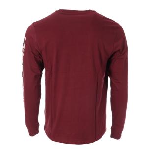 T-Shirt Bordeaux Homme O'Neill Cedar vue 2