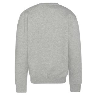 Sweat Gris Homme Schott Rdc Print vue 2