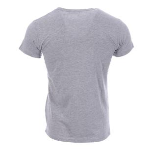 T-shirt gris homme Schott NYC brodé vue 2