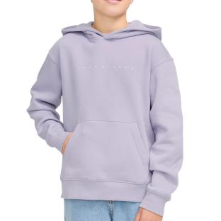 Sweat à Capuche Violet Garçon Languid pas cher