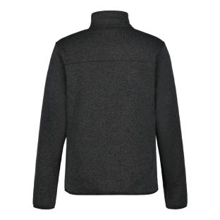 Veste Grise Homme Icepeak Adrianes vue 0