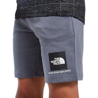 Short Gris Garçon The North Face Small Box pas cher