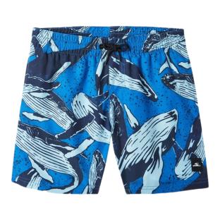 Maillot de bain Bleu Garçon O'Neill Cali vue 0