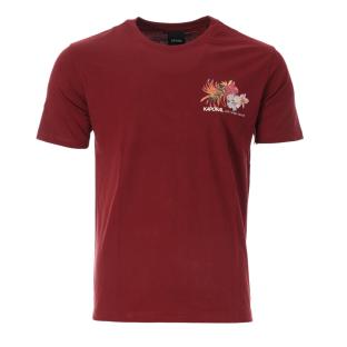 T-Shirt Bordeaux Homme Kaporal TIGAU pas cher