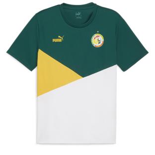 Sénégal Maillot Vert Homme Puma 2024 pas cher