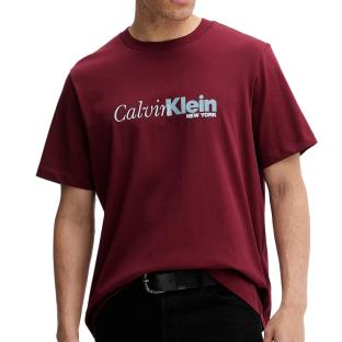 T-Shirt Rouge Homme Calvin Klein Jeans LV04RD822G vue 0