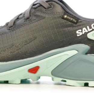 Chaussures de Trail Gris Femme Salomon Alphacross 4 Gtx vue 7