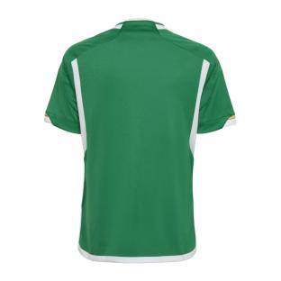 Algérie Maillot de foot Extérieur Vert Garçon Adidas 2022 vue 2