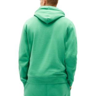 Sweat Vert Homme Tommy Hilfiger Washed DM0DM20746 vue 0