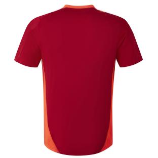 OLYMPIQUE LYONNAIS Maillot Homme Adidas 24-25 vue 0