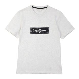 T-Shirt Gris Homme Pepe jeans Pjl M vue 0