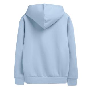 Sweat Bleu Garçon Teddy Smith Snark vue 2