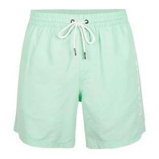 Short de bain Vert Amande Homme O'Neill 200 pas cher