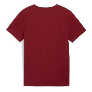 T-shirt Bordeaux Garçon Puma Ess+ 2 Col Logo vue 2
