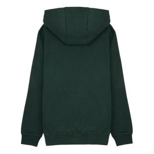 Sweat à Capuche Vert Foncé Garçon Teddy Smith Evry1 vue 0