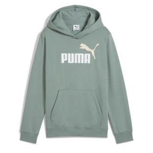 Sweat à Capuche Vert Garçon Puma Ess2 Color vue 0