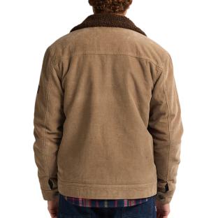 Veste Camel Homme Petrol Industries Padded vue 2