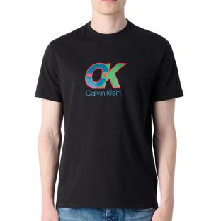 T-Shirt Noir Homme Calvin Klein Jeans LV04RD821G vue 0