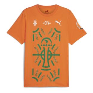 T-Shirt Orange Homme Puma Afcon vue 0