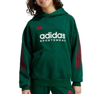 Sweat Vert Fille Puma Hoodie vue 0