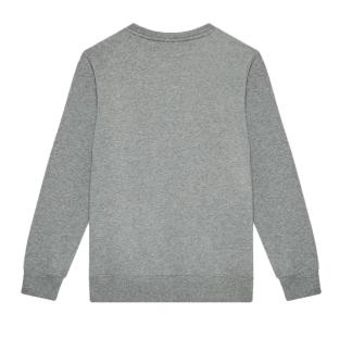 Sweat Gris Garçon Champion 305766 vue 2