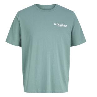 T-Shirt Vert Garçon Jack & Jones Blaoscar vue 0