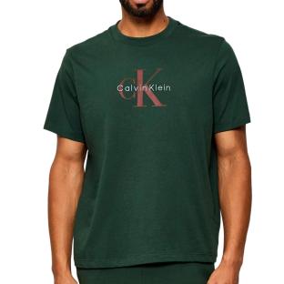 T-Shirt Vert Homme Calvin Klein Jeans Hero vue 0