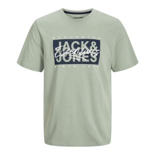 T-shirt Vert Garçon Jack & Jones Colton pas cher