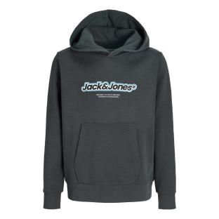 Sweat à Capuche Gris Garçon Jack & Jones Newton Branding pas cher