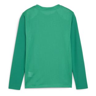 T-Shirt Vert Homme Puma Teamgoal vue 0