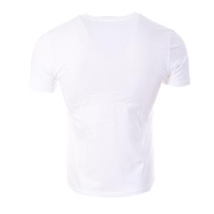 T-Shirt Blanc/Bleu Homme Vans Painted vue 2