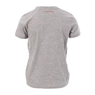 T-shirt Gris Garçon Teddy Smith Max vue 2