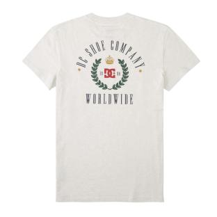 Camiseta gris para hombre de DC Shoes Hills ver 0