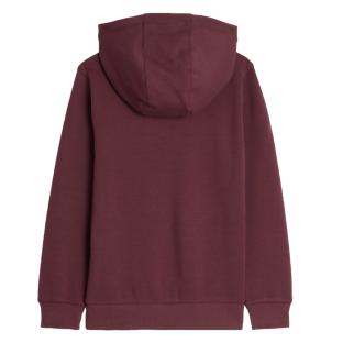 Sweat à Capuche Bordeaux Garçon Teddy Smith Evry1 vue 0