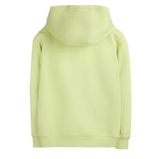 Sweat à Capuche Jaune/Vert Garçon Teddy Smith Evry vue 0