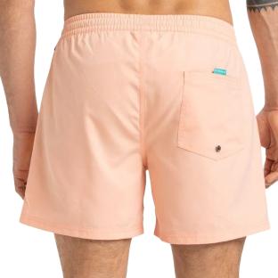 Short de Bain Corail Homme Quiksilver Solid 15 vue 2