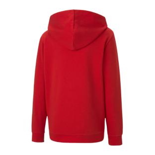 Sweat Zippé Rouge Garçon Puma Teamgoal 23 vue 2
