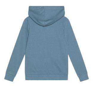 Sweat Bleu Garçon Jack & Jones Forest vue 2