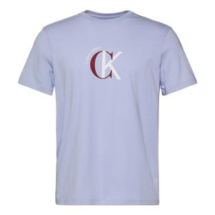 T-shirt Bleu Clair Homme Tommy Hilfiger Tjm Xslim Jersey vue 0