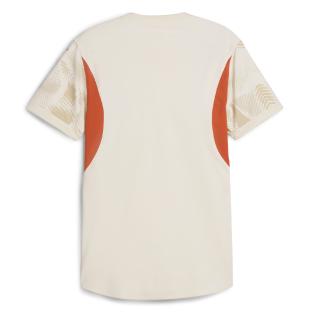OM Maillot de Gardien Authentic Beige Homme Puma 2024/2025 vue 2