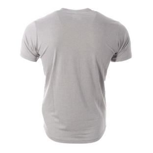 T-shirt Gris Homme The North Face Dome vue 2