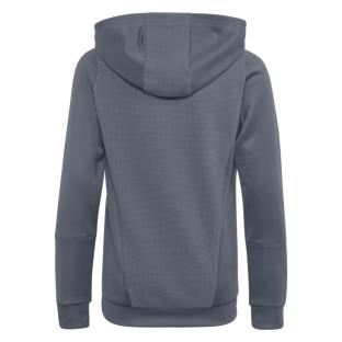 Sweat à Capuche Gris Foncé Homme Adidas Tiro23 vue 0