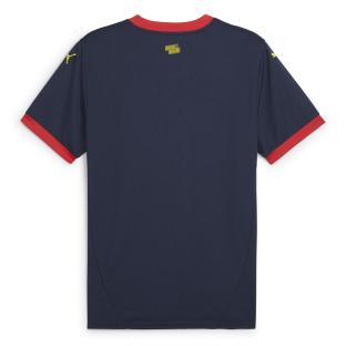 Girona FC Maillot Extérieur Homme Puma 24/25 vue 2